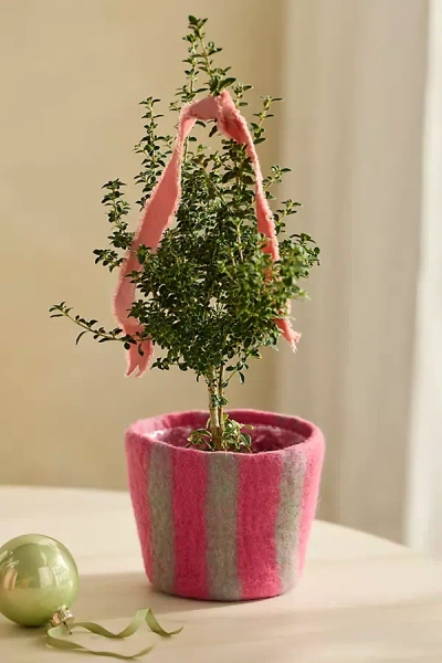 Terrain Felt Pot Cover In Pink