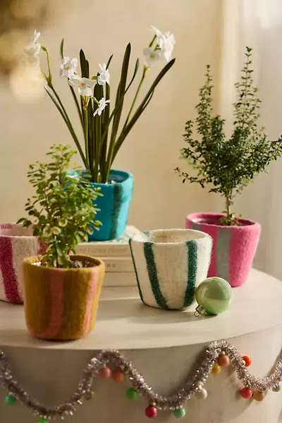 Terrain Felt Pot Cover In Multi