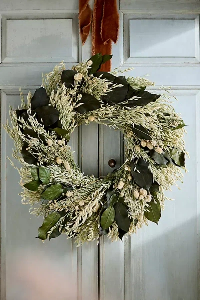 Terrain Fern + Flower Dried Wreath