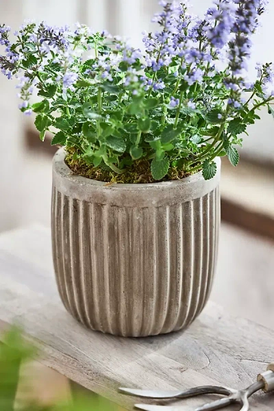 Terrain Fiber Concrete Barrel Pot, 7" In Gray