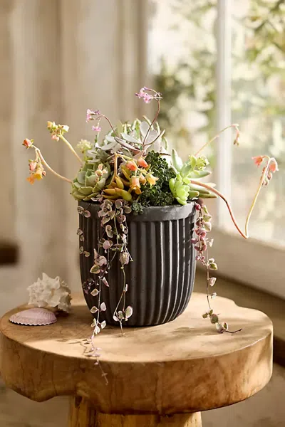 Terrain Fiber Concrete Barrel Pot In Multi
