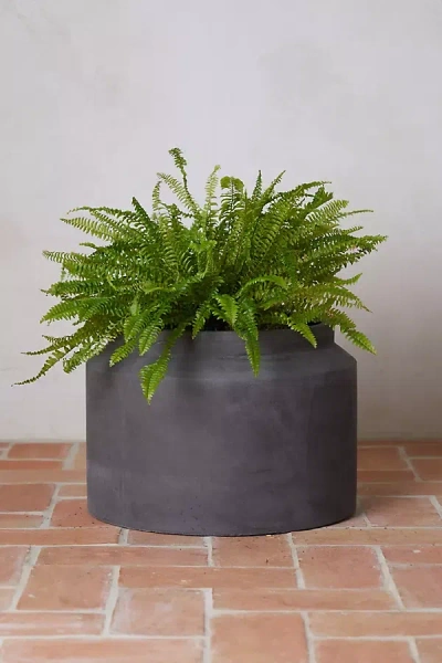 Terrain Fiber Jar Planter