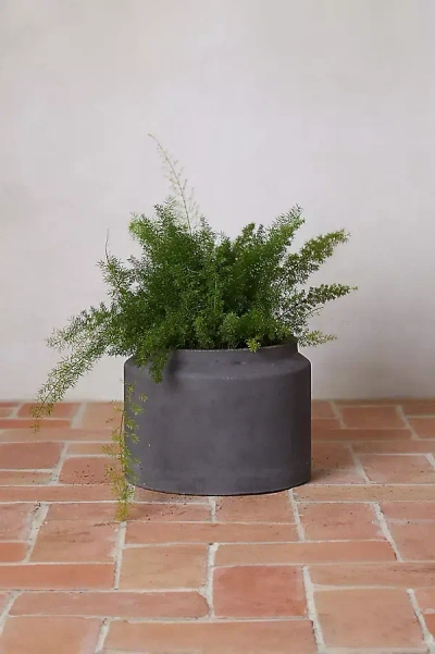 Terrain Fiber Jar Planter, 14"