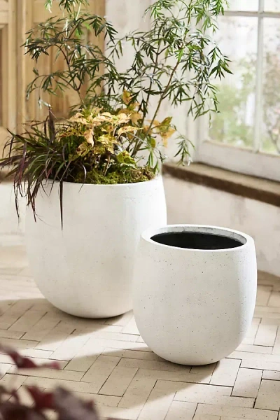 Terrain Fiber Rounded Egg Planter In White