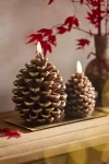 Terrain Flameless Pinecone Candle In Brown