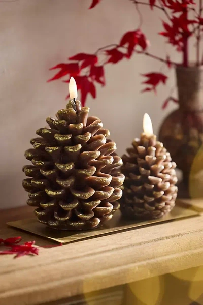 Terrain Flameless Pinecone Candle In Brown