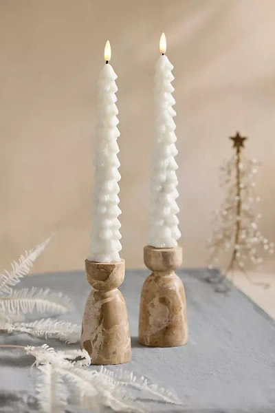 Terrain Flameless Wax Tree Taper Candles, Set Of 2 In Brown