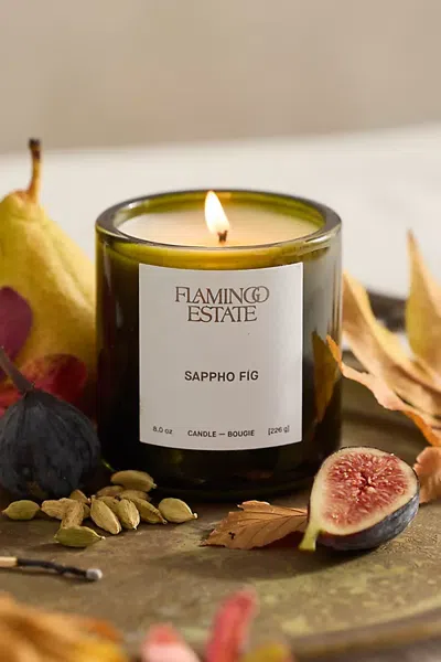 Terrain Flamingo Estate Sappho Fig Candle In Multicolor