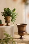 Terrain Flared Bronze Urn Planter In Brown