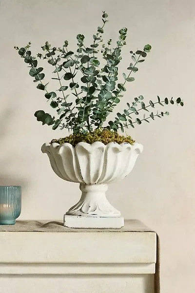 Terrain Flora Concrete Urn