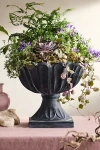 Terrain Flora Concrete Urn In Black