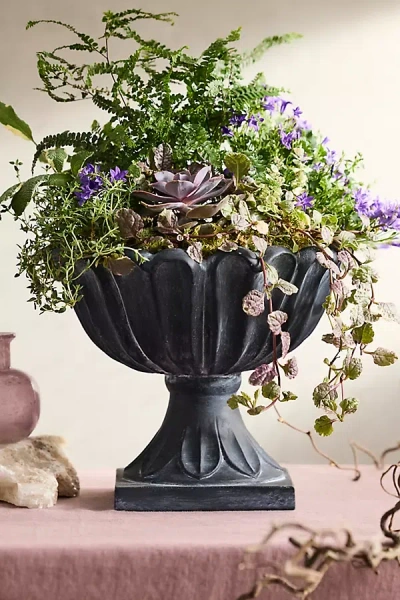 Terrain Flora Concrete Urn In Black