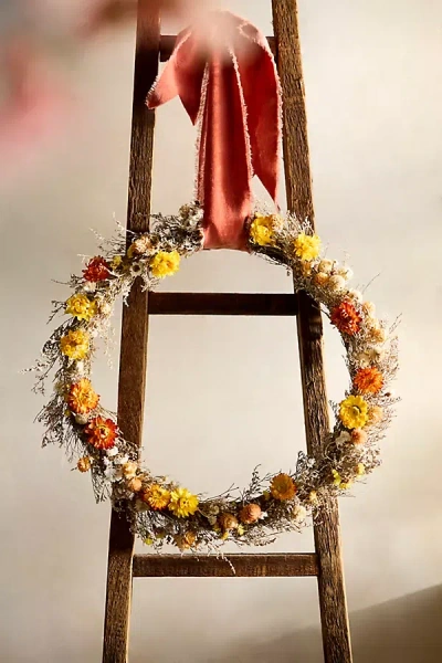 Terrain Floral Confetti Circlet Wreath