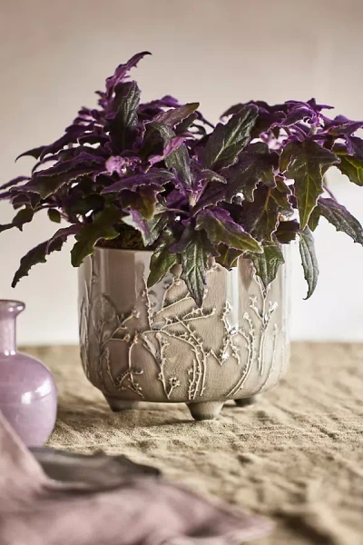 Terrain Floral Embossed Stoneware Pot In Neutral