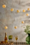 Terrain Floral Lantern String Lights