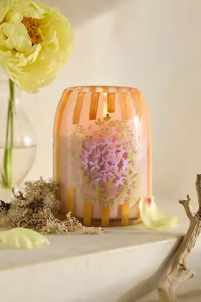 Terrain Floral Stripe Candle In Multi