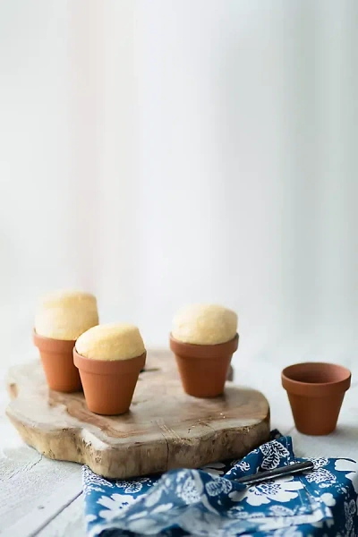 Terrain Flower Pot Bread Making Kit, Set Of 4 In Brown