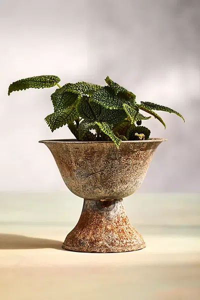 Terrain Fluted Iron Urn Planter In Beige