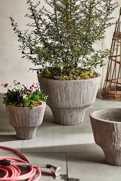 Terrain Fluted Textured Concrete Planter In Grey