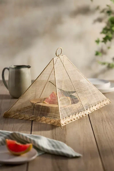 Terrain Folding Scallop Food Cover