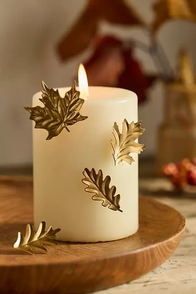 Terrain Foliage Candle Pins, Set Of 6 In Multi