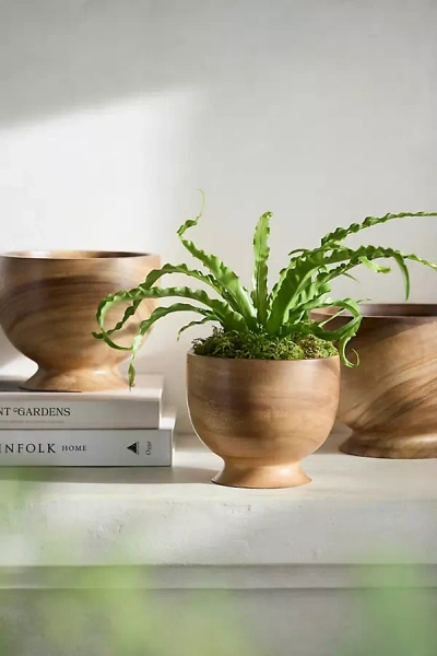 Terrain Footed Acacia Bowl Planter In Brown