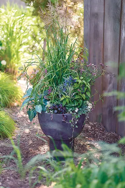 Terrain Footed Bowl Concrete Planter In Black