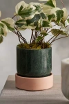 Terrain Footed Marble Cylinder Planter