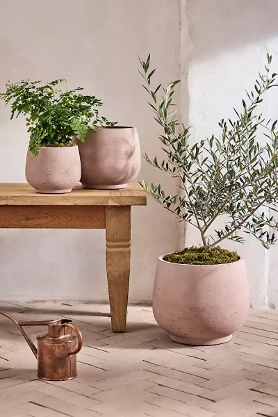 Terrain Footed Round Cement Planter In Neutral