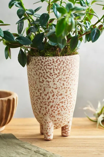 Terrain Footed Speckle Terracotta Planter In Neutral