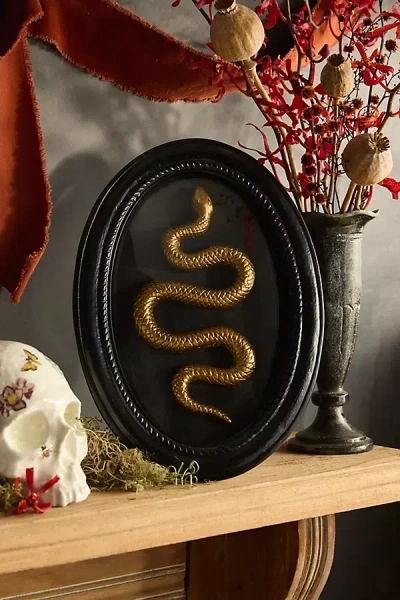 Terrain Framed Serpent Shadow Box In Black