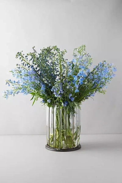 Terrain Fresh Blue Delphinium Bouquet In Green