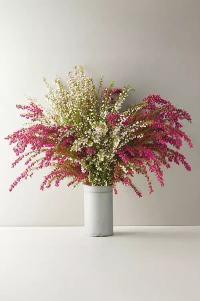 Terrain Fresh Boronia Bunch In White