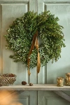 TERRAIN FRESH BOXWOOD WREATH