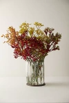 Terrain Fresh Kangaroo Paw Bunch