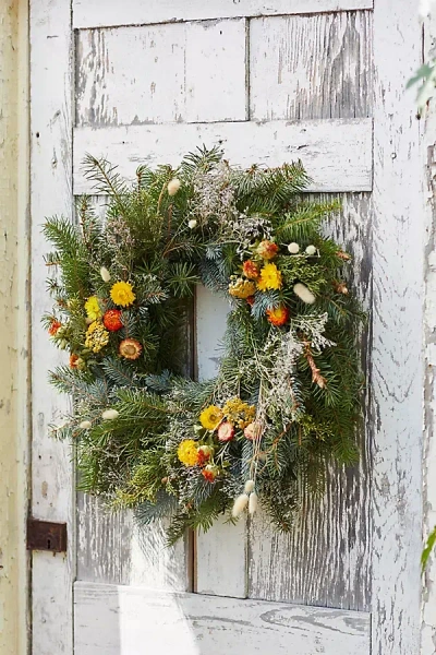 Terrain Fresh Noble Fir + Preserved Stem Wreath In Green