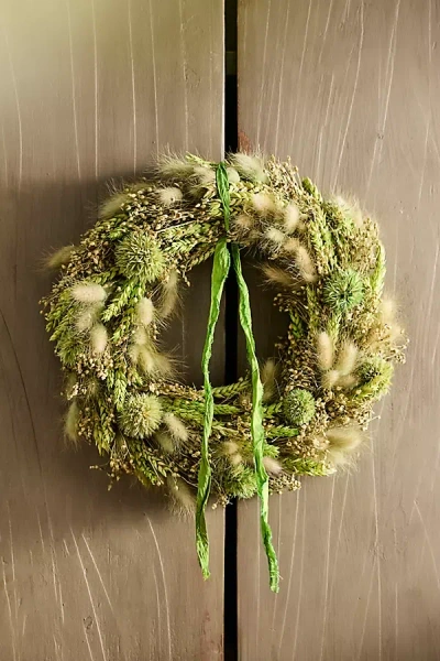 Terrain Garden Greens Dried Wreath