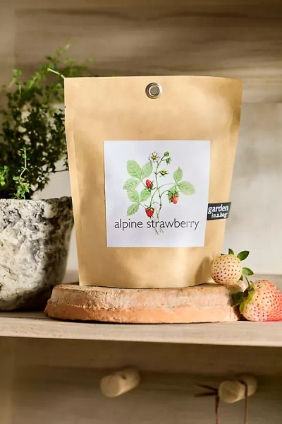 Terrain Garden Grow Bag