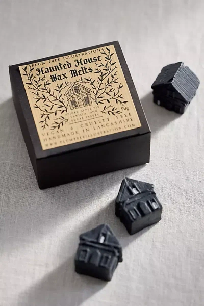 Terrain Ghost Wax Melts, Set Of 6