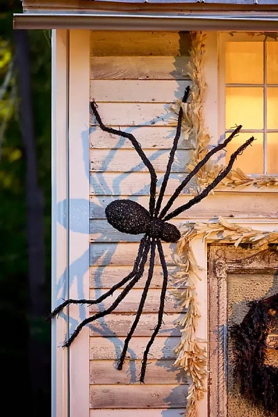 Terrain Giant Rattan Vine Spider