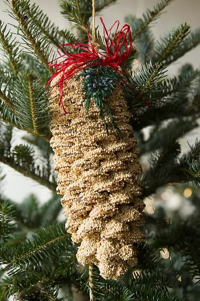 Terrain Giant Seeded Sugar Pine Cone In Gold