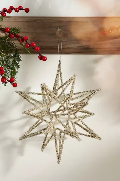 Terrain Giant Silver Beaded Star Ornament