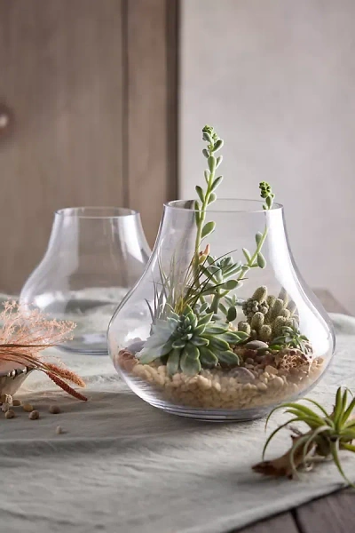 Terrain Glass Bell Terrarium