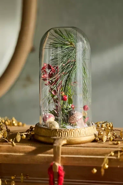 Terrain Glass Cloche Stocking Holder In Multi