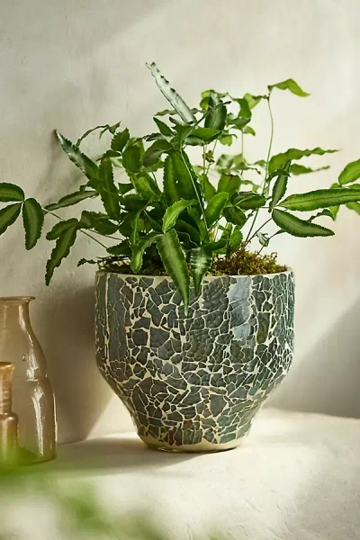Terrain Glass Mosaic Taper Planter