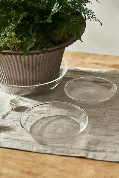 Terrain Glass Saucers, Set Of 3 In Transparent