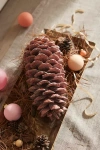 Terrain Glittery Waxed Pinecone In Beige