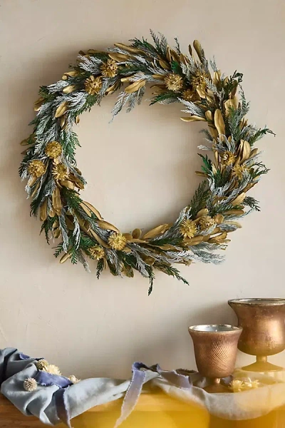 Terrain Golden Cedar Dried Wreath In Green