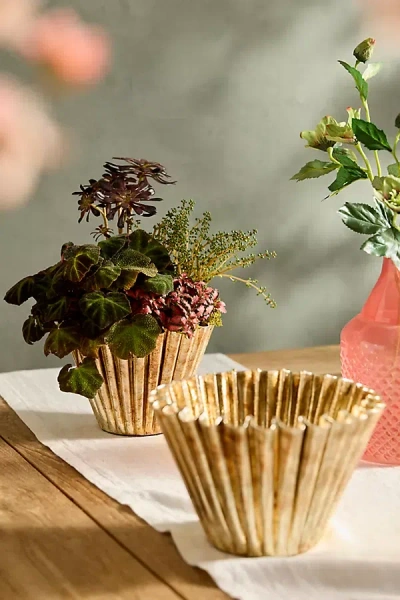 Terrain Golden Ruffle Bowl Planter