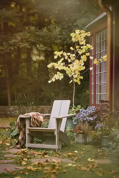 Terrain Grafton Teak Chair In Multi